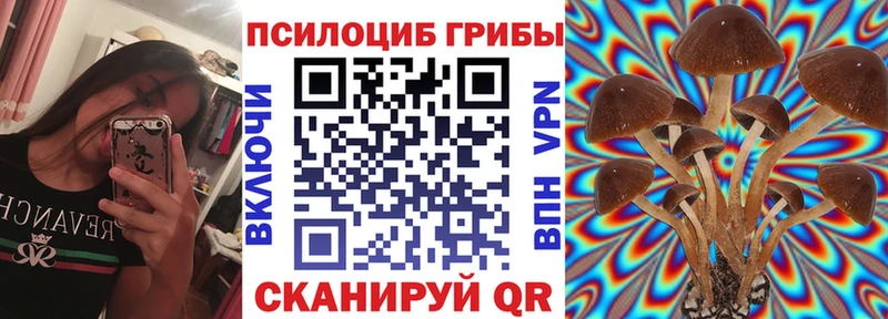 Псилоцибиновые грибы Psilocybine cubensis  Чишмы 